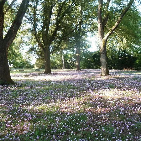 Holiday home Chateau Rosemont: Family Estate With Pool & Tennis In Médoc *