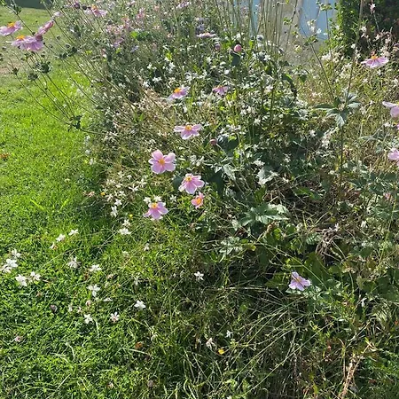 Holiday home Chateau Rosemont: Family Estate With Pool & Tennis In Médoc Labarde