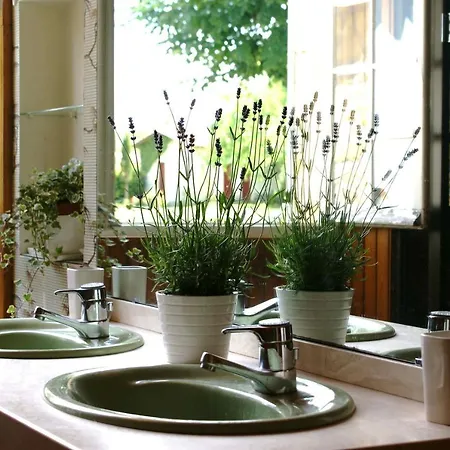 Chateau Rosemont: Family Estate With Pool & Tennis In Médoc Holiday home *